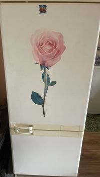 Холодильник та пралка 3