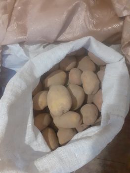 Картопля велика і сердня 1