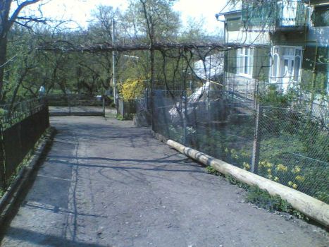 Будинок цегляний 1