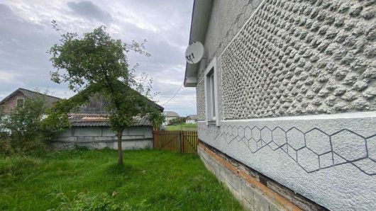 Будинок, с.Нижній Струтин 2