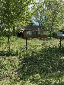Земельна ділянка, 50 сотих 1