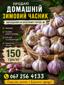 ДОМАШНІЙ ЗИМОВИЙ ЧАСНИК 1