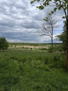 Земельна ділянка, с. Оболоння, вул. Одиниця 1