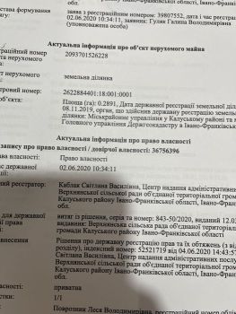 Будинок, Негівці 1