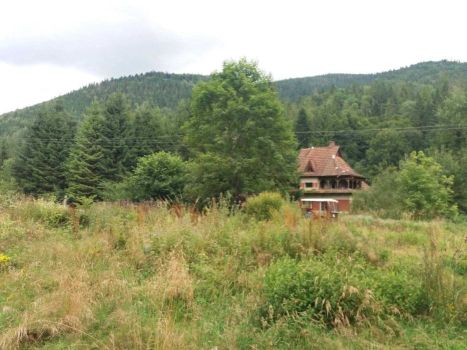 Земельна ділянка з будинком, Старий Мізунь 2