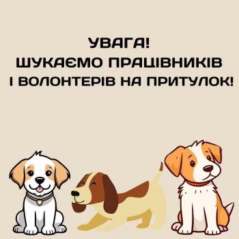 Працівники в притулок для собак «Дім Сірка» 1