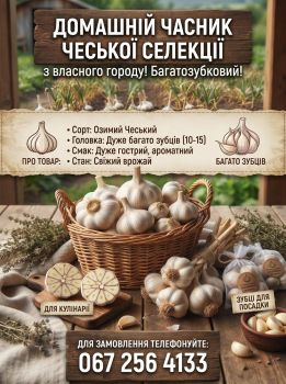 Домашній озимий часник чеської селекції з власного 1