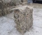 Сіно в тюках 2