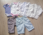 Бодіки 1