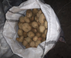 Картопля домашня 1