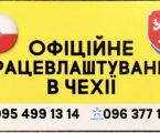 Легальна робота в Чехії 1