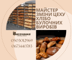 МАЙСТЕР ЗМІНИ 1