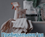 ПРИБИРАЛЬНИЦЯ 1