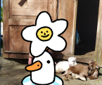 Козенята 1