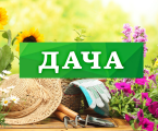 Дачна ділянка 1
