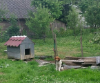 Відам Естонця в добрі рук 3