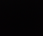 Дійсна річна коза 1