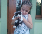 Віддам в добрі руки 4