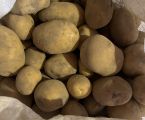 Картопля 2