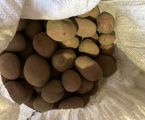 Картопля 1