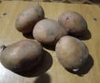 Картопля їсти і на посадку 1