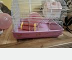 Клітка для хомяка джунгарика 1