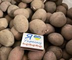 Картопля для посадки,для їжі та дріна 4