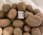 Картопля для посадки,для їжі та дріна 5