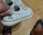 Оригінальні чоловічі літні кеди-еспадрильї lacoste 1