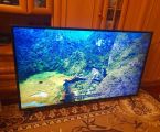 Телевізор LG 55