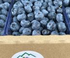 🫐 Продам лохину — свій урожай, с. Сваричів 2