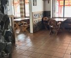 Здається в оренду приміщення 4