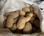 Картопля домашня! 1