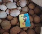 Картопля домашня 2