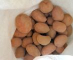 Картопля для споживання 2