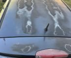 OPEL Astra H GTC, 2005 р.в., 1.9 7
