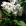 ' ~ advert.getName() ~ '