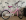 ' ~ advert.getName() ~ '