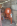 ' ~ advert.getName() ~ '