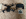 ' ~ advert.getName() ~ '