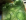 ' ~ advert.getName() ~ '