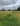' ~ advert.getName() ~ '