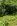 ' ~ advert.getName() ~ '