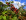 ' ~ advert.getName() ~ '
