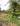 ' ~ advert.getName() ~ '