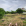 ' ~ advert.getName() ~ '