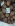 ' ~ advert.getName() ~ '