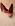 ' ~ advert.getName() ~ '