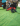 ' ~ advert.getName() ~ '