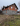 ' ~ advert.getName() ~ '